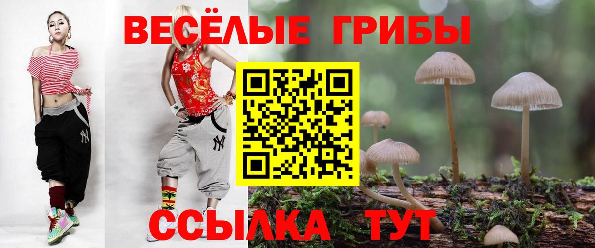 Зеленодольск  Псилоцибиновые грибы ЛСД  Вход с VPN  Галлюциногенные грибы ЛСД 