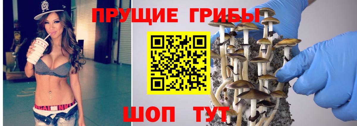 Псилоцибиновые грибы мухоморы Зеленодольск